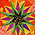 Tropical 
Star Burst Quilt